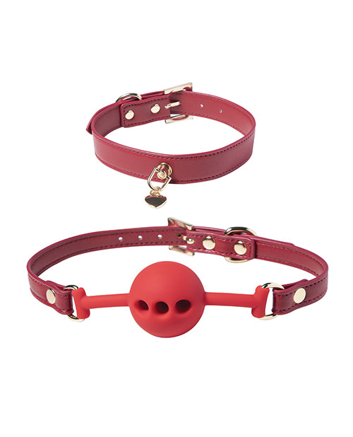 Honey Play Box Honey Play Box Red Passion 8-Piece Bondage Kit - Red - Image 2
